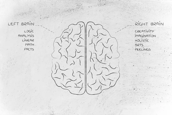 Levý a pravý mozek s popisy funkcí — Stock fotografie