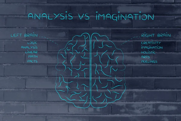 Concept of analysis vs imagination — Stock Photo, Image