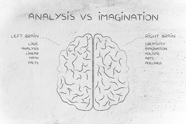 Koncepcja analizy vs wyobraźni — Zdjęcie stockowe
