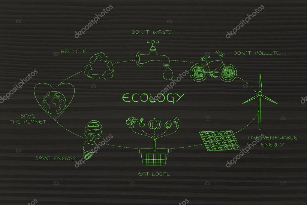 Risultati immagini per ecologiaquotidiana
