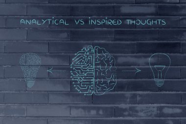 lightbulbs ile grafik beyin