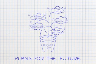 Girişimci 's niş iş hedefleri ile kova listesi