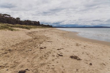 Seven Mile plajı Tazmanya, Avustralya 'daki Hobart şehrinin hemen dışında el değmemiş altın bir kumsal bulutlu bir bahar gününde çekildi.