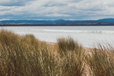 beautiful view of Seven Mile Beach just outside the city of Hobart in Tasmania, Australia on an overcast day with stormy clouds shot in mid spring clipart