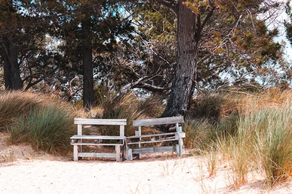 Пара Простих Лавок Дерев Яних Піддонів Пляжі Тасманії Австралія — стокове фото