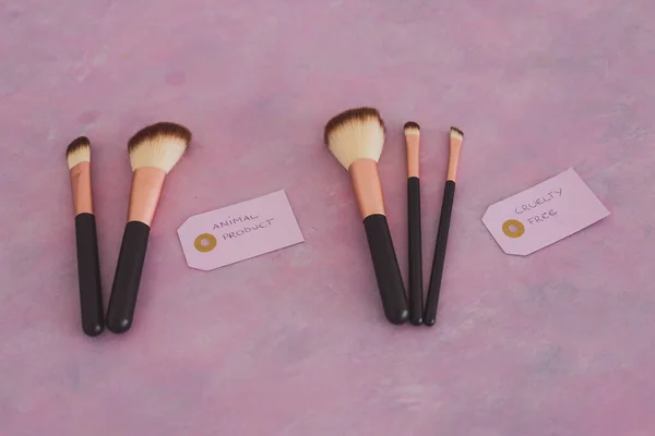 cruelty free vs animal products concept, sets of make up brushes with labels about synthetic vs animal fibers