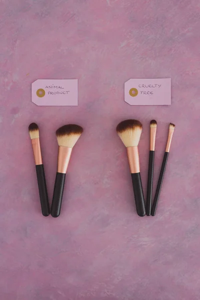cruelty free vs animal products concept, sets of make up brushes with labels about synthetic vs animal fibers
