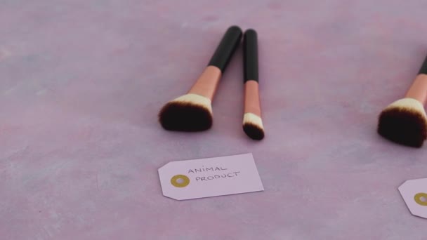 Cruelty Free Dierlijke Producten Concept Sets Van Make Borstels Met — Stockvideo