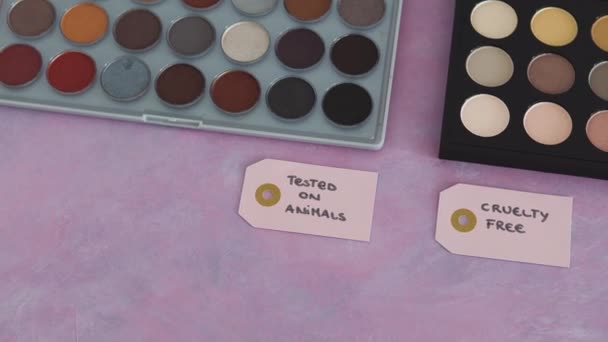 Cruelty Free Animal Testé Concept Cosmétique Palettes Fards Paupières Avec — Video