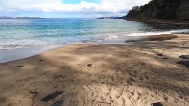 Paisagem Selvagem Intocada Boronia Beach Tasmânia Austrália Com Vegetação Exuberante — Vídeo de Stock