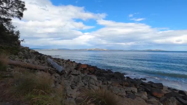 Paesaggio Selvaggio Incontaminato Boronia Beach Tasmania Australia Con Vegetazione Lussureggiante — Video Stock