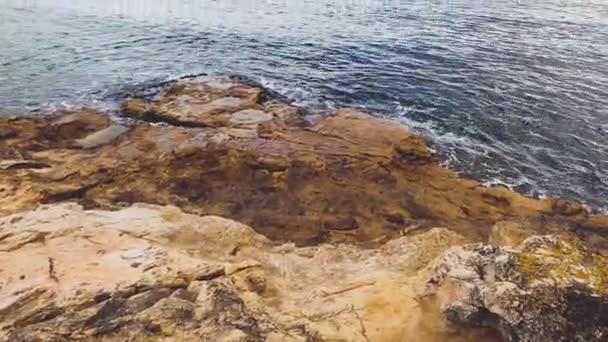 Tazmanya Avustralya Daki Boronia Sahili Nde Değmemiş Vahşi Doğa Kıyılarında — Stok video