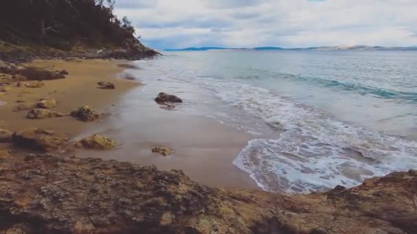Paesaggio Selvaggio Incontaminato Boronia Beach Tasmania Australia Con Vegetazione Lussureggiante — Video Stock