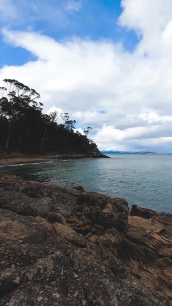 Paesaggio Selvaggio Incontaminato Boronia Beach Tasmania Australia Con Vegetazione Lussureggiante — Video Stock