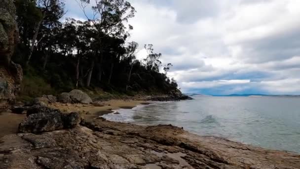 Pristine Wild Landscape Boronia Beach Tasmania Australia Lush Vegetation Rocks — Stock Video
