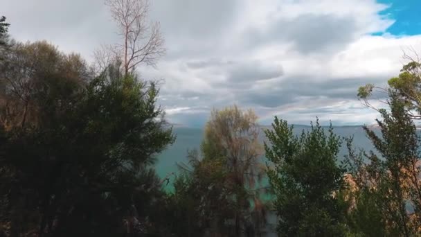 オーストラリア タスマニア州のボロニアビーチトラックの自然のままの野生の風景に囲まれた虹と嵐の空緑豊かな植生 — ストック動画