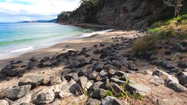 Orörda Vilda Landskap Vid Boronia Beach Tasmanien Australien Med Frodig — Stockvideo
