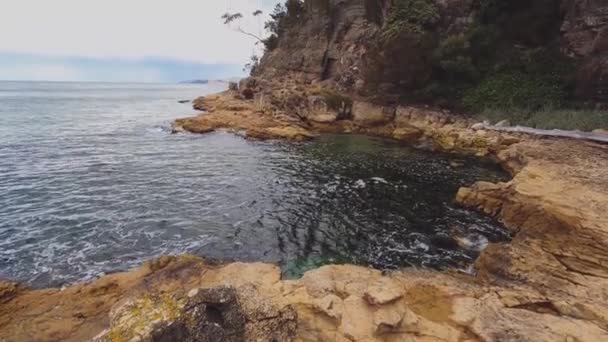 オーストラリアのタスマニアにあるボロニアビーチの自然のままの野生の風景海岸沿いに緑豊かな植生と岩 — ストック動画