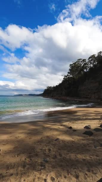 オーストラリアのタスマニア州の南ホバートにあるボロニアビーチの自然のままの野生の風景海岸沿いの緑豊かな植生と岩 — ストック動画