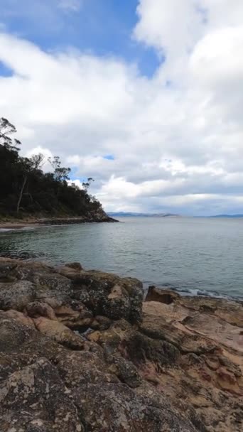 Prístino Paisaje Salvaje Boronia Beach Hobart Del Sur Tasmania Australia — Vídeo de stock