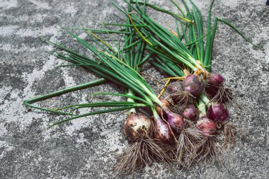 Ev yapımı soğanlar bahçedeki beton kaldırımda toplandı. Sığ bir tarlanın sığ sularında güneşli sebze bahçesinde çekildi.