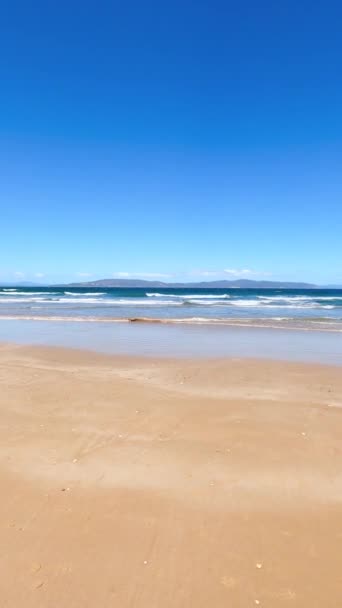 Paesaggio Selvaggio Incontaminato Clifton Beach South Hobart Tasmania Australia Con — Video Stock