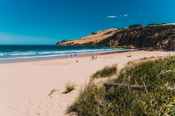 Clifton Beach Australia Diciembre 2020 Prístino Paisaje Salvaje Clifton Beach — Foto de Stock