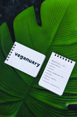 HOBART, AUSTRALIA - 2 Ocak 2021: sağlıklı bitkisel beslenme konsepti, vejetaryen bildiri ve vegan alışveriş listesi tropikal yaprağın üstünde, illüstrasyon editörlüğü