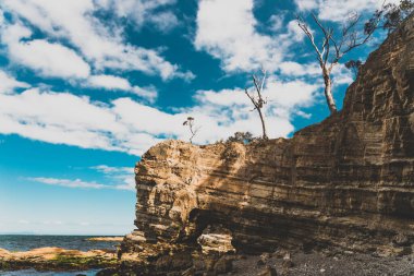 Vahşi Tazmanya manzarası, popüler Blackmans Körfezi banliyösü yakınlarında doğal kaya kemerli Fosil Koyu yürüyüşü sırasında