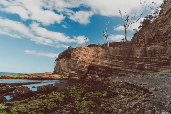 Paisaje Salvaje Tasmania Durante Una Caminata Fossil Cove Con Arco — Foto de Stock