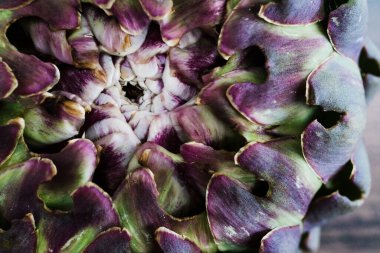 Basit gıda malzemeleri konsepti, yeni toplanmış enginar makrosu.