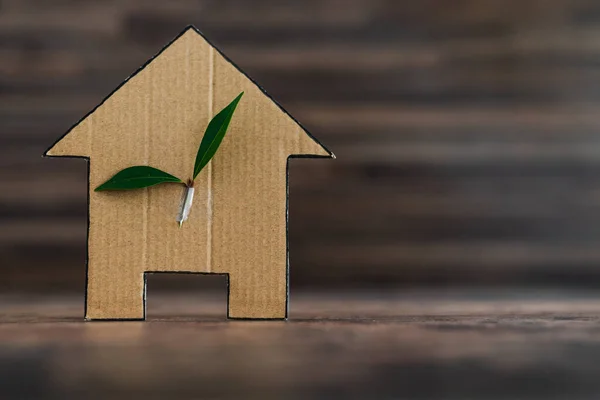green home and energy efficiency conceptual image, ecological house icon with leaves on it on wooden background