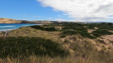Güneşli bir yaz gününde Clifton, Tazmanya 'da sahile yakın yoğun bitki örtüsü olan sakin bir manzara.