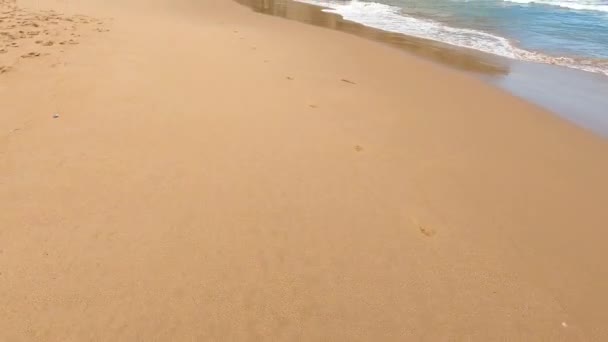 Praia Australiana Imaculada Filmada Clifton Tasmânia Dia Sereno Verão Ensolarado — Vídeo de Stock