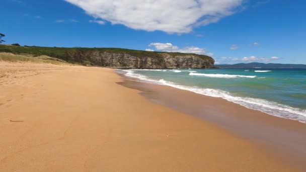 Praia Australiana Imaculada Filmada Clifton Tasmânia Dia Sereno Verão Ensolarado — Vídeo de Stock