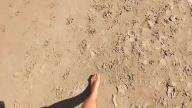 Güneşli bir yaz gününde kumsalda sakince yürüyen bir kadının bacakları.