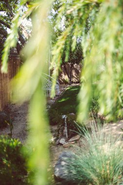 Bir sürü bitkisi ve sallanan sandalyesi sığ, güneşli arka bahçesi var.