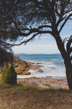 BLACKMANS BAY, TASMANIA - 6 Mart 2020: Güney Hobart 'taki popüler Blackmans Körfezi sahili çok rüzgarlı bir günde yoğun dalgalar ve dalgalarla 