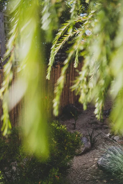 Bir sürü bitkisi ve sallanan sandalyesi sığ, güneşli arka bahçesi var.
