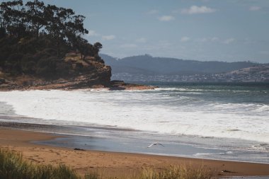 Büyük dalgalar Tazmanya, Avustralya 'da sert rüzgarların estiği bir günde kayalık kıyı şeridine çarpıyor.