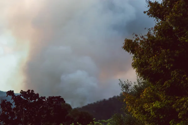 smoke clouds from fuel reduction controlled burns among thick vegetation in Tasmania, Australia