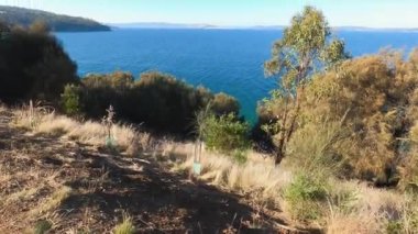 Okyanus manzaralı güzel Tazmanya manzarası ve Güney Hobart 'taki Boronia yürüyüşünden kalma kalın bitki örtüsü.