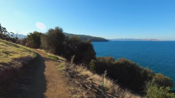 Wunderschöne Tasmanische Landschaft Mit Meerblick Und Dichter Vegetation Aufgenommen Vom — Stockvideo