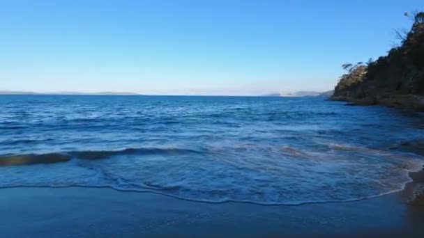 Praia Intocada Sul Tasmânia Com Ondas Azuis Oceano Areia Cercada — Vídeo de Stock