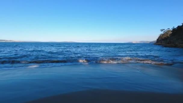 Девственный Пляж Южной Тасмании Голубыми Волнами Океана Песке Окружении Скалистой — стоковое видео