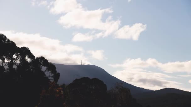 タスマニアの山頂とユーカリの木を覆う雲のタイムラプス秋の暖かい日に夕暮れに撮影された — ストック動画