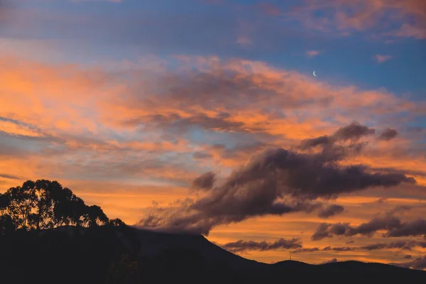 Majestic Pink Sunset Mountains Eucalyptus Gum Trees Silhouettes Shot Tasmania — Stock Photo, Image