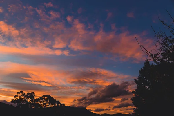 Parlak Bir Sonbahar Gününde Tazmanya Avustralya Çekilmiş Okaliptüs Ağacı Siluetleriyle — Stok fotoğraf