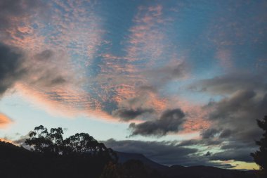 Tepelerin üzerinde güzel pembe günbatımı ve Güney Tazmanya, Avustralya 'nın okaliptüs sakız ağaçları.