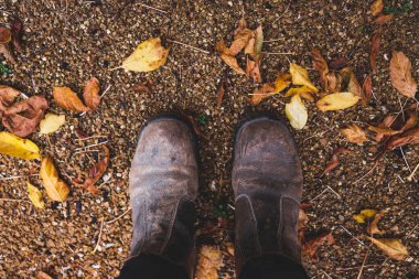 Bahçıvanın iş botları cennetlik sonbahar bahçesine basıyor. Bir sürü altın ve kırmızı yapraklar sığ alan derinliğine vuruyor. Sıcak sonbahar titreşimleri.